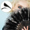 2Pièces Vintage Pliable Main Plumes Noir Pour Spectacle 5