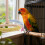 Parrot Perch Stand with Rotating Interactive Bird Toy 5