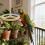 Parrot Perch Stand with Rotating Interactive Bird Toy 4