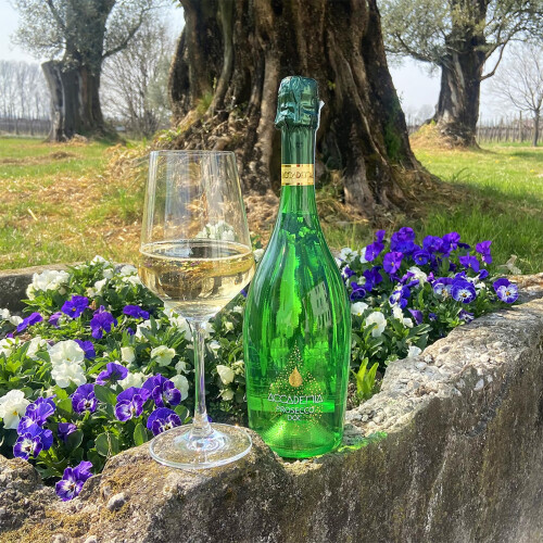 Accademia Green Prosecco 75cl 1