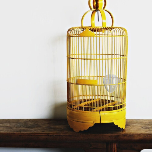 3Pièces Abreuvoir Oiseaux Transparent Pour Cage 2