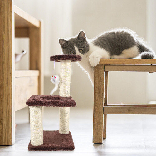 Griffoir Intégré Pour Chat En Bois Résistant 2