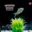 4 Pièces Bac De Reproduction Pour Aquarium Avec Ventouse 5