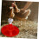 Automatic Chicken Waterer with Leakproof Base, Poultry Water Feeder for Chicks Ducks Quails 4