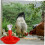 Automatic Chicken Waterer with Leakproof Base, Poultry Water Feeder for Chicks Ducks Quails 5