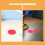 20Pcs Red Translucent Pet Light Gel Sheets for Lamp Color Change 5
