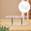 Support Transparent Pour 8 Fléchettes En Acier 9
