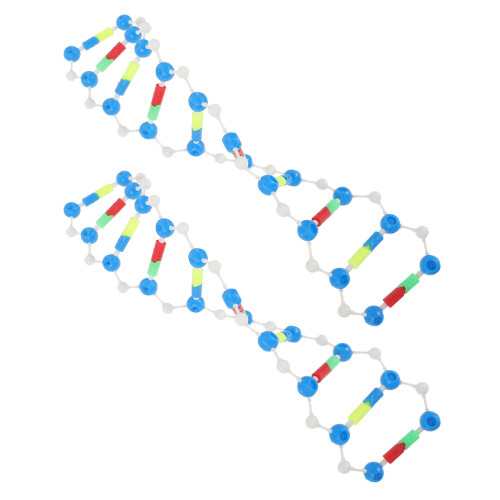 4Pcs Molecular Dna Model Kit Educational Biology Teaching Aid 1