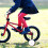 1 Pair Replacement Training Wheels Bike Stabiliser 5