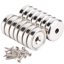Aenienoe 14 Pack Neodymium Magnets Strong 30lb Pulling Force 20mm with Countersunk Hole and Screws Extra Strong Magnets Silver