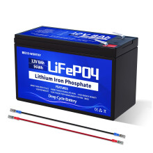 ECO-WORTHY 12V 8AH LiFePO4 Battery,4000+ Cycles Lithium Deep Cycle Battery with 8A BMS,for Solar,Fish Finder,Power Wheels,Lighting,Alarm System