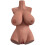 PDX PLUS - PARFAIT 10 TORSE 1