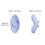 Svakom Echo 2 Finger Vibrator Blue 6