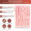 Complete Suture Practice Kit Suturing Practice Kit for Students Tools and Threads. Complete Set for Nursing Student. 4