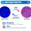 1 Quart Blue Replacement Desiccant Indicating Silica Gel Beads - 2 LBS Reusable by DRY&DRY 4