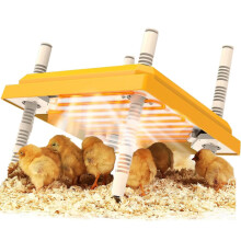 Chick Brooder Heating Plate, 10" x 10" Chick Incubator Heating Lamp, Adjustable Angle and Height Chick Brooder, Safe Incubators With Easy Clean Plate