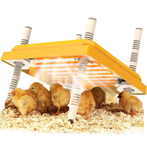Chick Brooder Heating Plate, 10" x 10" Chick Incubator Heating Lamp, Adjustable Angle and Height Chick Brooder, Safe Incubators With Easy Clean Plate