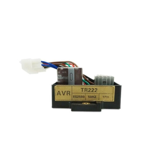 TR222 AVR Automatic Voltage Regulator for EG2500 Gasoline Generator, Stable Voltage Control 2