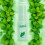 GoodHead Pussy Licker Spray Mint 29ml 3