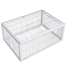 Pigeon Trap Cage with Skylight, EscapeProof OneWay Entry Design for Roofs, Gardens and Farms, 16x12x10 Inches
