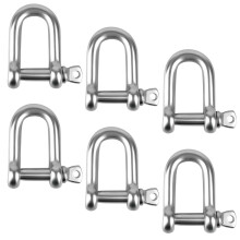 Roosea 6 Pcs M8 D Shackle Heavy Duty, Screw Pin Shackle 5/16", Stainless Steel D Ring Shackle for Marine Mounting, Camping, Sports, Hiking Accessorie