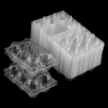 LEXININ 100 PCS Plastic Egg Cartons, Clear Egg Cartons Hold 6 Eggs, Plastic Egg Box for Home Market Display