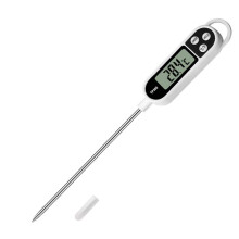 Digital Thermometer for Water Temperature Large Display Flat Design Farenheit Celcius Steel Probe