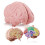 Cross Section Foam Brain Model, Great Educational Tool for Learning & Teaching Human Anatomical Function, Psychology, Biology or Science, Easy to Use 1