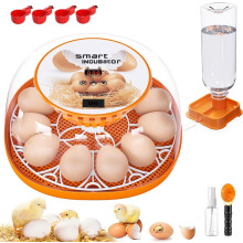 Viowey 12-24 Egg Incubator with Automatic Egg Turning and Humidity Control