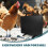 Black Chick Brooder Heater Plate with Quick Heating for Poultry 8