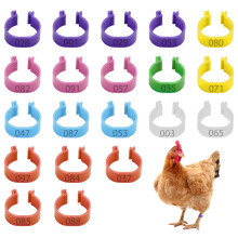 20Pcs Chicken Leg Rings, 16mm Multicoloured Clip On Leg Rings, Numbered Chicken Identification Leg Bands, Poultry Leg Rings, for Chickens Ducks Hens