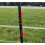 Electric Fence Clips 3