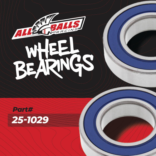 All Balls 25-1029 Wheel Bearing Kit 1