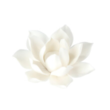 Leadigol White Lotus Incense Holder,3.9 Inch Ceramic White Lotus Incense Burner,Ceramic Flowers Stick Incense Burner Holder,for Home Decor