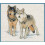 Wolf Duo Counted Cross Stitch Kit 1