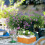 2Pcs Chocolate Wood Planter Tray Multi-Grid Organizer for Home Use 4