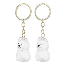 6Pcs Pet Hair Storage Keychain Transparent Dog Memorial Keepsake Box