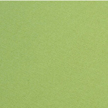 Core'dinations Core Foundations Cardstock 12"X12"-Golf Green