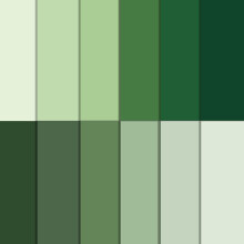 VIVIQUEN 24 Pack Sage Green Pattern Double-Sided Paper, 12-inches Solid Color Textured Scrapbook Paper Craft Paper Folded Flat for DIY Background Car