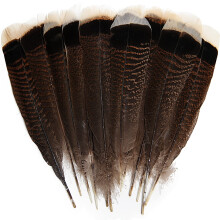24pcs Natural Wild Turkey Tails Feathers Quill Bulk 8-10inch 20-25cm for DIY Crafts Project Collection Wedding Decoration Wild Turkey Tails Feather