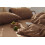 Omelas Brown Duvet Cover Full Size Chocolate Mocha Coffee Solid Color Plain Bedding Set Simple Modern Soft Microfiber Rustic Comforter Covers with Zi 6