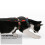 Cat Kitten Harness With Leash Cat-Walking Pulling Rope Pet Strap 6