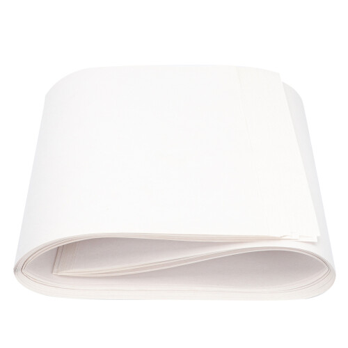 100Pcs Lightweight Nursery Growing Paper for Vegetable Germination Use 2