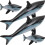 12Pcs PVC Inflatable Shark Pool Float Playthings 3