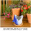 2Pièces Cache-Pot Bleu Durable En Céramique Pour Succulentes 4