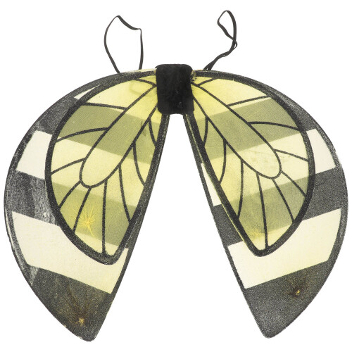 2St Bee Vleugels Accessoires Zwart Kinderen 1