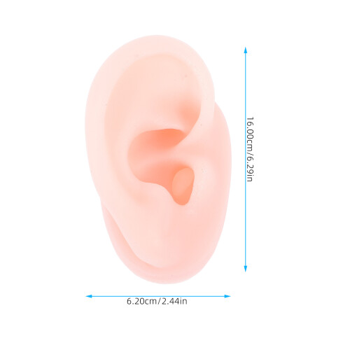 5Pièces Modèles Oreilles En Silicone Khaki Pour Enseignement 1
