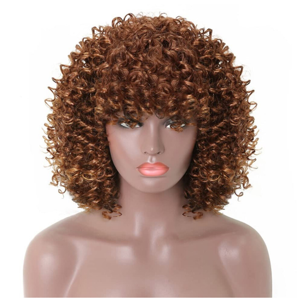 Afro Kinky Curly Wig with Bangs, Short Curly Human Hair Wig for Black Women, Natural Look 41cm