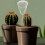 3Pcs Silver Skull Automatic Watering Spike Glass Self Watering System 5