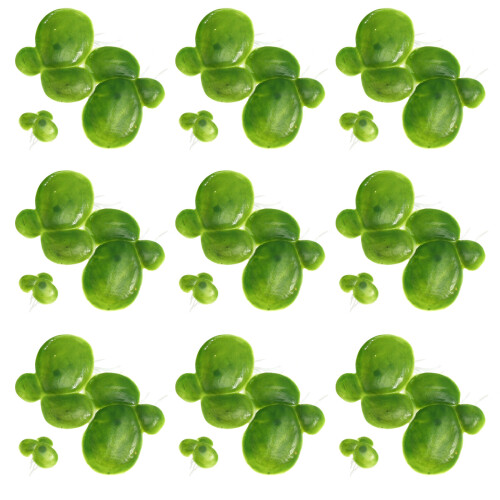 6Packs Durable Plastic Duckweed Ornament Tank Decor 2